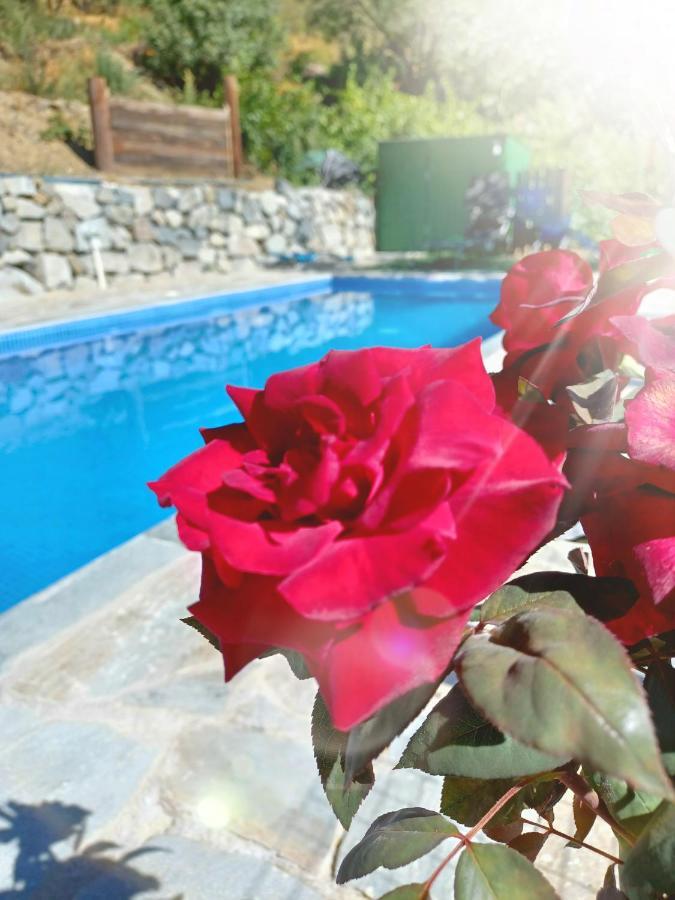 Agrompelo House Villa Agros Luaran gambar