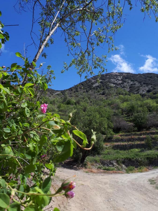 Agrompelo House Villa Agros Luaran gambar